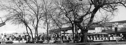 Forest Park Train Fort Worth 1982