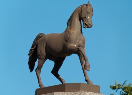 Horse Fountain - Pam Coburn Collection.