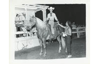 Palomino-Show (008-036-469_0007)