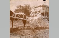 Fort Worth Flower Parade buggy (018-008-284)