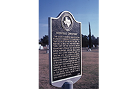 Birdville Cemetery (087-004-001)