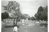 Bourland Cemetery, 1988 (090-047-003)