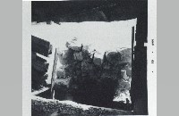 Foster Park Cabin, 1968 (090-022-062)