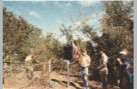 Hitch Cemetery Marker Dedication, 1989 (090-066-032)