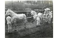 Buggy of Mary Greenwall, 1905 (087-005-011)