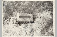 Riley Cemetery, Colleyville, 1984  090-073-080)