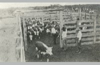 SMS Ranch photo album (007-058-050)