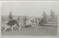 SMS Ranch photo album (007-058-050)