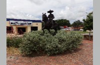 Vaquero statue (018-033-341)