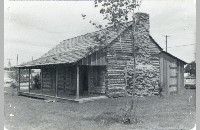 Torian Cabin, Grapevine, 1981 (090-074-081)