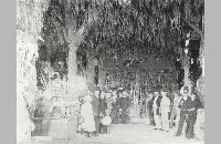 Texas Spring Palace interior, circa 1890 (090-090-090)