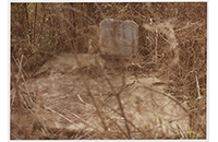 New Trinity Cemetery, Father and Mother (001)