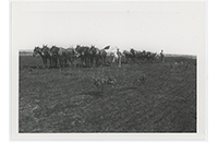 Peterson Family Cemetery, Horses and Mules Plowing (001)