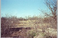 Shady Oaks Farm, Bass Pond drained (003-010-330)