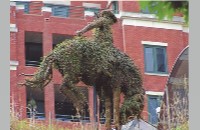 Bronco topiary at Sundance West, 2005 (007-014-438)