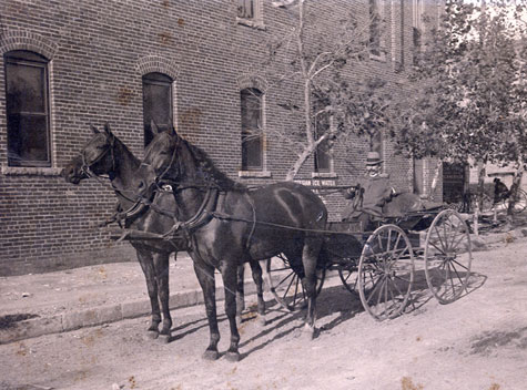 Jack Burke and his team of horses.