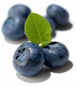 Blueberries