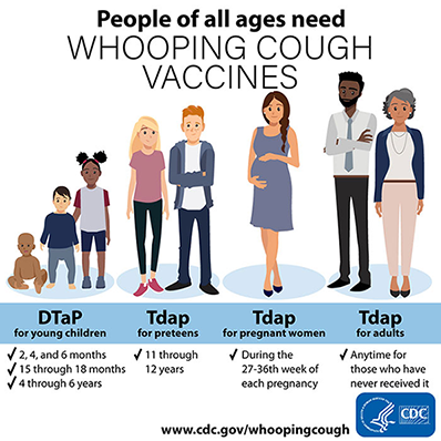 Pertussis Vaccine Schedule