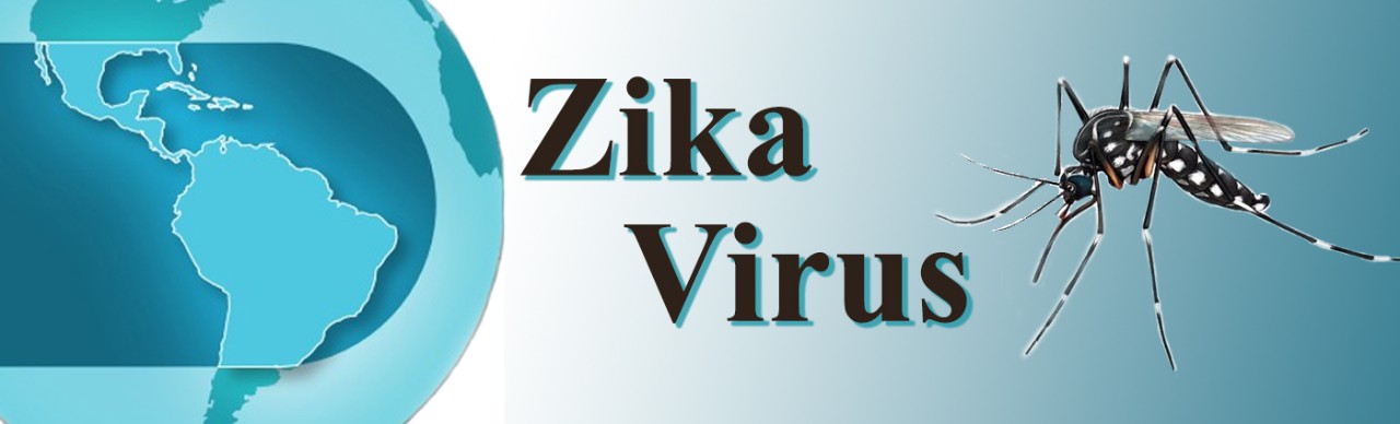 Zika virus mosquito