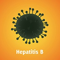 Hepatitis B microbe