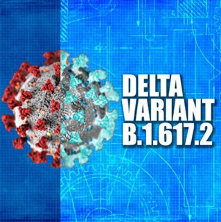 image of COVID-19 microbe, text Delta Variant B.1.617.2