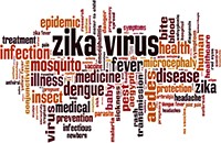 Zika Virus word cloud