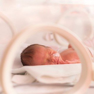 premature baby in incubator