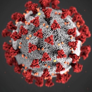 COVID-19 virus